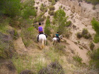 Andalucian Horse Riding Adventure
